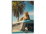 Bild OLDTIMER SAFARI