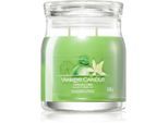 Yankee Candle Vanilla Lime geurkaars Signature 368 g