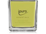 ipuro Essentials Lime Light geurkaars 125 gr