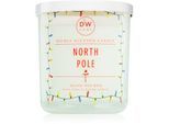 DW Home Signature North Pole geurkaars 249 g