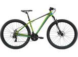 Mountainbike BIKESTAR Gr. 43, grün, Fahrräder, 43cm, 29 Zoll (73,66cm), für Damen und Herren, Kettenschaltung