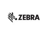 Zebra - Polyvinylchlorid (PVC) - 30 mil - weiß - CR-80 Card (85.6 x 54 mm) 500 Karte(n) Karten - für Zebra P110m