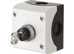 KWC Aquarotter Schlüsselschalter, Aufputz, maximal 230 VAC, 2000102675 2000102675
