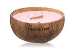Tropicandle Frozen Cranberry geurkaars met een houten lont 350 ml