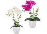 Kunstorchidee CREATIV GREEN "Orchidee Phalaenopsis", 2 farben 2, H:40cm, Kunststoff, Kunstpflanzen, mit Eukalyptuszweigen