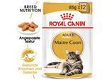 ROYAL CANIN Maine Coon Adult in Soße 48x85 g