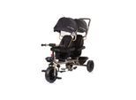 Babyshoppen Geschwisterdreirad Hip Hop, Schiebegriff, Sitze 360° drehbar, Gurte schwarz