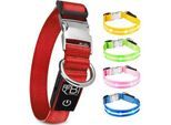 Petsation Leuchthalsband Hundehalsband rot S