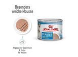 ROYAL CANIN Starter Mother & Babydog Mousse 12x195 g