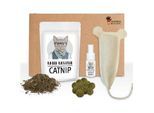 Kater Kasimir Katzenminze Party Paket
