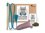 Kater Kasimir Kitten Paket mit 3 Premium Katzenspielzeugen