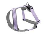 Hunter Geschirr Neopren lila/ grau M-L
