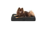Lionto Hundematte CozyPad
