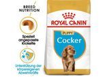 ROYAL CANIN Cocker Puppy 3kg