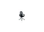 SITNESS Drehstuhl 15 schwarz/schwarz ; Topstar (ST19U G20)