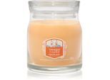 Yankee Candle Slopeside Spritz geurkaars Signature 368 g