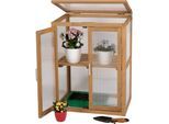 needs&wants® Mini Gewächshaus Treibhaus klein winterfest aus Holz für Balkon Garten Indoor, Frühbeet Hochbeet Pflanzschrank Anzuchthaus, 56x43x76 cm, Polycarbonat