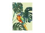 Bild KOMAR "Green-Winged Macaw", bunt (farbe bild(er): bunt), B:30cm H:40cm, Holz, Papier, Bilder, Bild, Wandbild zur Dekoration - ohne Rahmen