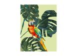 Bild KOMAR "Green-Winged Macaw", bunt (farbe bild(er): bunt), B:40cm H:50cm, Holz, Papier, Bilder, Bild, Wandbild zur Dekoration - ohne Rahmen