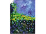 Artland Wandbild "Wilde Blumen" Blumenwiese 1 Stk. tlg. als Leinwandbild, Poster in verschied. Grössen