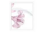 Bild QUEENCE "Alma", rosa (farbe rahmen: weiß), B:30cm H:40cm, Acrylglas, Holz, Papier, Bilder, Bild