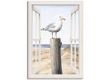 Artland Wandbild »Möwe Fensterblick« Vogelbilder 1 Stk. tlg. als Alubild, Leinwandbild, Wandaufkleber oder Poster in versch. Grössen