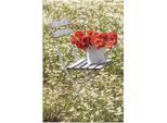 Alu-Dibond-Druck ARTLAND "Stuhl im Kamille Feld mit Mohnblüten", weiss (farbe bild(er): weiß), B:20cm H:30cm, Alu Dibond, Bilder, Alu-Dibond-Druck, für Innen- und Aussenbereich geeignet, Outdoorbild
