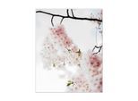 Bild QUEENCE "Lilly", rosa (farbe rahmen: weiß), B:50cm H:60cm, Acrylglas, Holz, Papier, Bilder, Bild