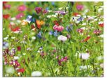 Artland Glasbild "Blumenwiese I" Blumenwiese 1 Stk. tlg. in verschiedenen Grössen