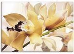Artland Wandbild »Gelbe Orchidee« Blumenbilder 1 Stk. tlg. als Alubild, Outdoorbild, Leinwandbild, Poster in verschied. Grössen