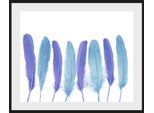 Bild QUEENCE "Bello", blau (farbe rahmen: schwarz), B:40cm H:30cm, Acrylglas, Holz, Papier, Bilder, Bild