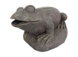 Aquariendeko »SuperFish Frosch«
