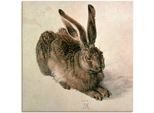 Wandbild ARTLAND "Junger Feldhase. 1502", braun (farbe bild(er): braun), B:70cm H:70cm T:1,8cm, Bilder, Wandbild, als Leinwandbild, Poster in verschied. Grössen