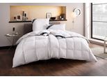 Daunenbettdecke HAEUSSLING "Kristall Edition", weiss (weiß), B:200cm L:220cm, Bezug: 100% Baumwolle. Füllung: 60% Daunen, 40% Federn, Bettdecken, Daunenbettdecke