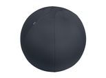 LEITZ Sitzball "Active 65 cm Dunkelgrau"