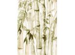 Bild KOMAR "Wild Bamboo", grün (farbe bild(er): grün, weiß), B:50cm H:70cm, Holz, Papier, Bilder, Bild, Wandbild zur Dekoration - ohne Rahmen