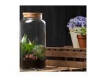 Terrarium ESSCHERT DESIGN "L, 45430 x 41.3 cm", transparent, H:41,3cm, Glas, Vivarien, Terrarium