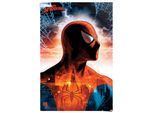 Poster REINDERS "Spiderman - protector of the city", rot (farbe bild(er): rot), B:61cm H:91,5cm T:0,1cm, Papier, Bilder, Poster
