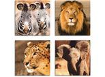Leinwandbild ARTLAND "Zebras Löwe Schneeleopard Elefanten", braun (farbe bild(er): braun), B:30cm H:30cm, Leinwand, MDF, Bilder, Leinwandbild, 4er Set, verschiedene Grössen