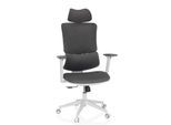 MyBuero Home Office Bürostuhl ERGOMY WF Stoff mit Armlehnen (höhenverstellbar)
