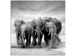 Artland Wandbild "Elefanten" Wildtiere 1 Stk. tlg. als Leinwandbild, Poster, Wandaufkleber in verschied. Grössen