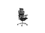 hjh OFFICE Luxus Chefsessel ERGOHUMAN ULTRA F GEN2 Netzstoff mit Armlehnen (höhenverstellbar)