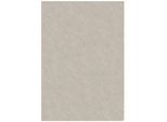 Hochflor-Teppich "Dovel" - Recyceltes Polyester - Nachhaltig & Weich. Farbe: Beige, 120x170 cm Kadima Design