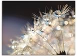 Artland Wandbild »Pusteblume Fantasie« 1 Stk. tlg. als Alubild, Outdoorbild, Leinwandbild, Poster, Wandaufkleber