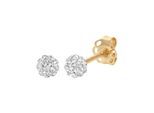 Paar Ohrstecker LADY, gold (gelbgold 375), Ohrringe, Damen