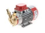 Rover Marina 25 - 24V- Elektrische Umfüllpumpe aus Bronze