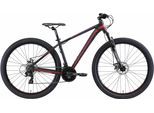 Mountainbike BIKESTAR Gr. 43, schwarz, Fahrräder, 43cm, 29 Zoll (73,66cm), für Damen und Herren, Kettenschaltung