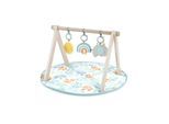 Ingenuity Sun Valley Wooden Toy Arch & Play Mat