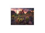 Ravensburger Jigsaw puzzle Cactus 500 pcs. Boden
