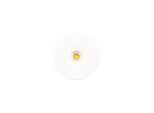 Scan Products Lia Downlight 350mA 1.2W 3000K Matt white